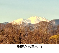 �ʐ^�F��Ɗx���^����