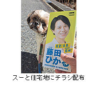 �ʐ^�F�X�[�ƏZ��n�Ƀ`���V�z�z