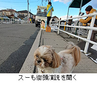写真:スーも街頭演説を聞く