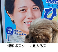 �ʐ^�F�I���|�X�^�[�Ɍ�����X�[