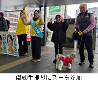 �ʐ^�F�X����U��ɃX�[���Q��