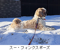 �ʐ^�F�X�[�E�t�B���N�X�|�[�Y