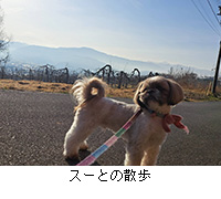 �ʐ^�F�X�[�Ƃ̎U��