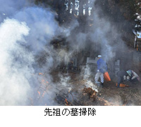 �ʐ^�F��c�̕�|��