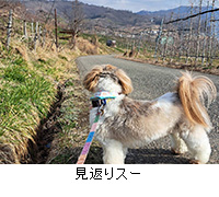 �ʐ^�F���Ԃ�X�[