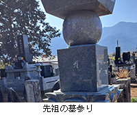 �ʐ^�F��c�̕�Q��