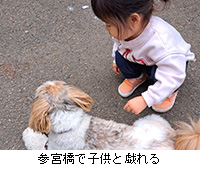 �ʐ^�F�Q�{���Ŏq���ƋY���