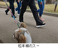 �ʐ^�F���{��̃X�[