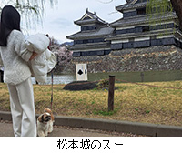 �ʐ^�F���{��̃X�[