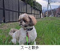 �ʐ^�F�X�[�ƎU��