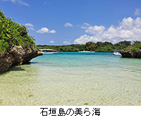 �ʐ^�F�Ί_���̔���C