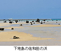 �ʐ^�F���n���̍��a�c�̕l