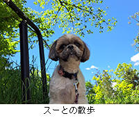 �ʐ^�F�X�[�Ƃ̎U��
