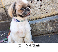 写真:スーとの散歩