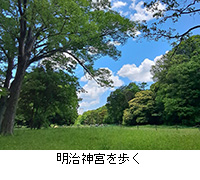 �ʐ^�F�����_�{�����
