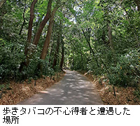 写真:歩きタバコの不心得者と遭遇した場所