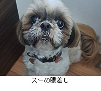 �ʐ^�F