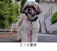 �ʐ^�F�X�[�ƎU��