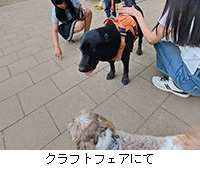 �ʐ^�F�N���t�g�t�F�A�ɂ�