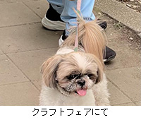�ʐ^�F�N���t�g�t�F�A�ɂ�