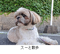 �ʐ^�F�X�[�ƎU��