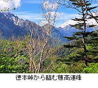 �ʐ^�F���{������Ղޕ䍂�A��