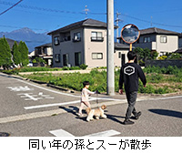 �ʐ^�F�����N�̑��ƃX�[���U��