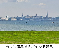 写真:タリン湾岸をEバイクで巡る