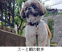 �ʐ^�F�X�[�ƒ��̎U��
