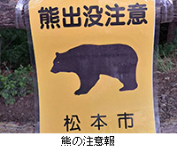 写真:熊の注意報
