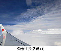 写真:奄美上空を飛行