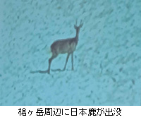 �ʐ^�F�����x���ӂɓ��{�����o�v