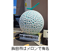 �ʐ^�F�g�c�s�̓������ŗL��