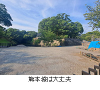 写真:熊本城は大丈夫