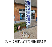 �ʐ^�F�X�[�ɘA����Ċ����O���[