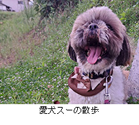 写真:愛犬スーの散歩