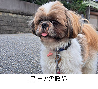 �ʐ^�F�X�[�Ƃ̎U��