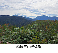 �ʐ^�F�z��O�R�����]