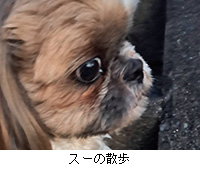 �ʐ^�F�X�[�̎U��