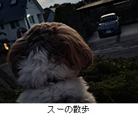 �ʐ^�F�X�[�̎U��
